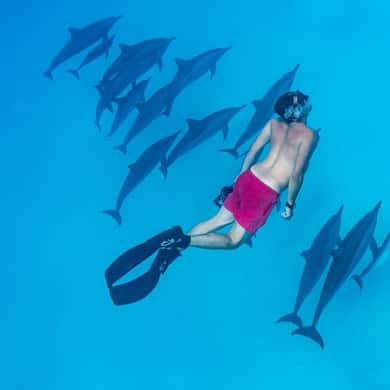 Marsa Alam Dolphin House: Unforgettable 2025 Experience
