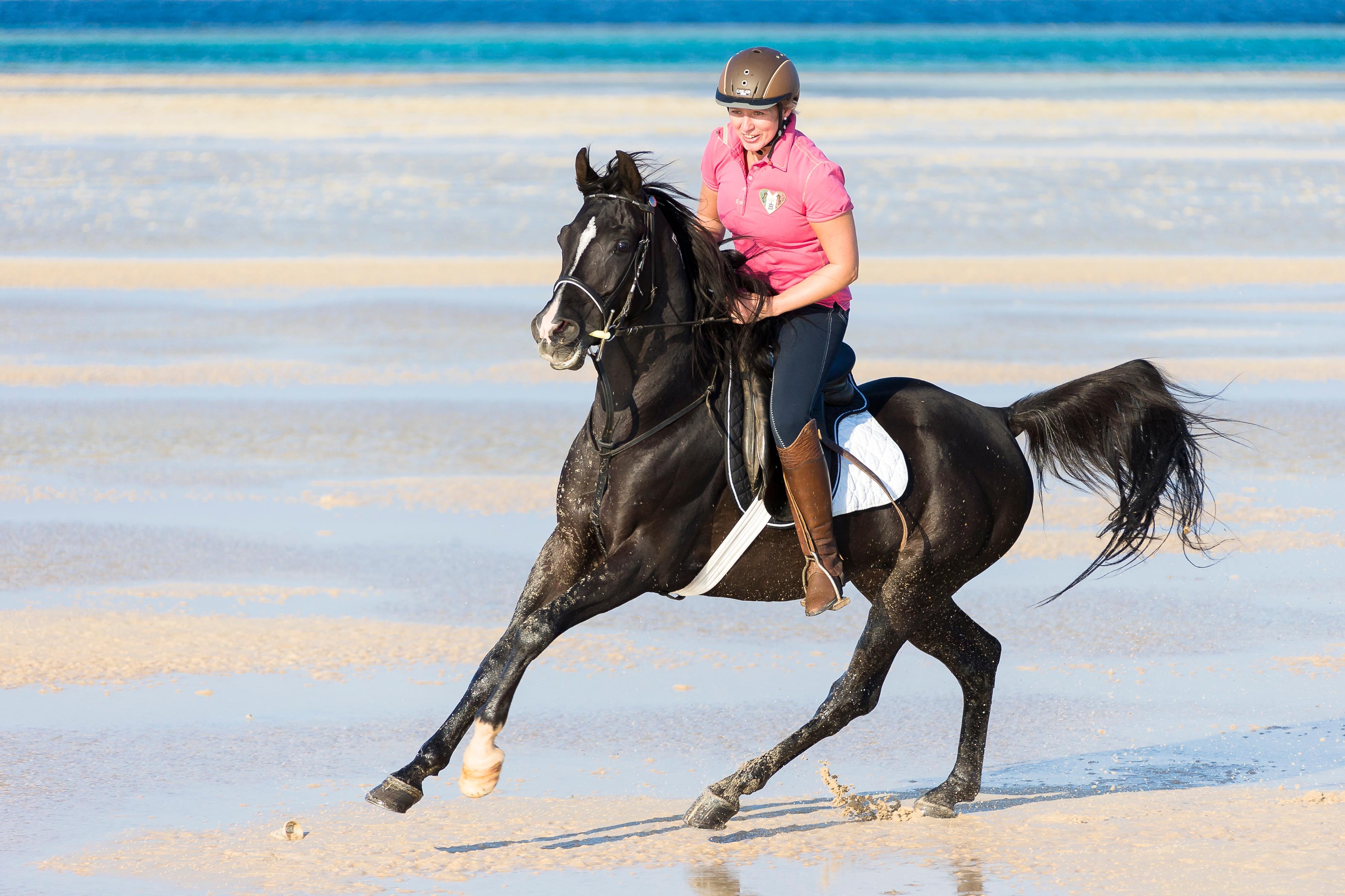Sahl Hasheesh: Desert & Sea Horse Ride w/Optional Swimming - Hurghada Sahl Hasheesh (Photo 1)