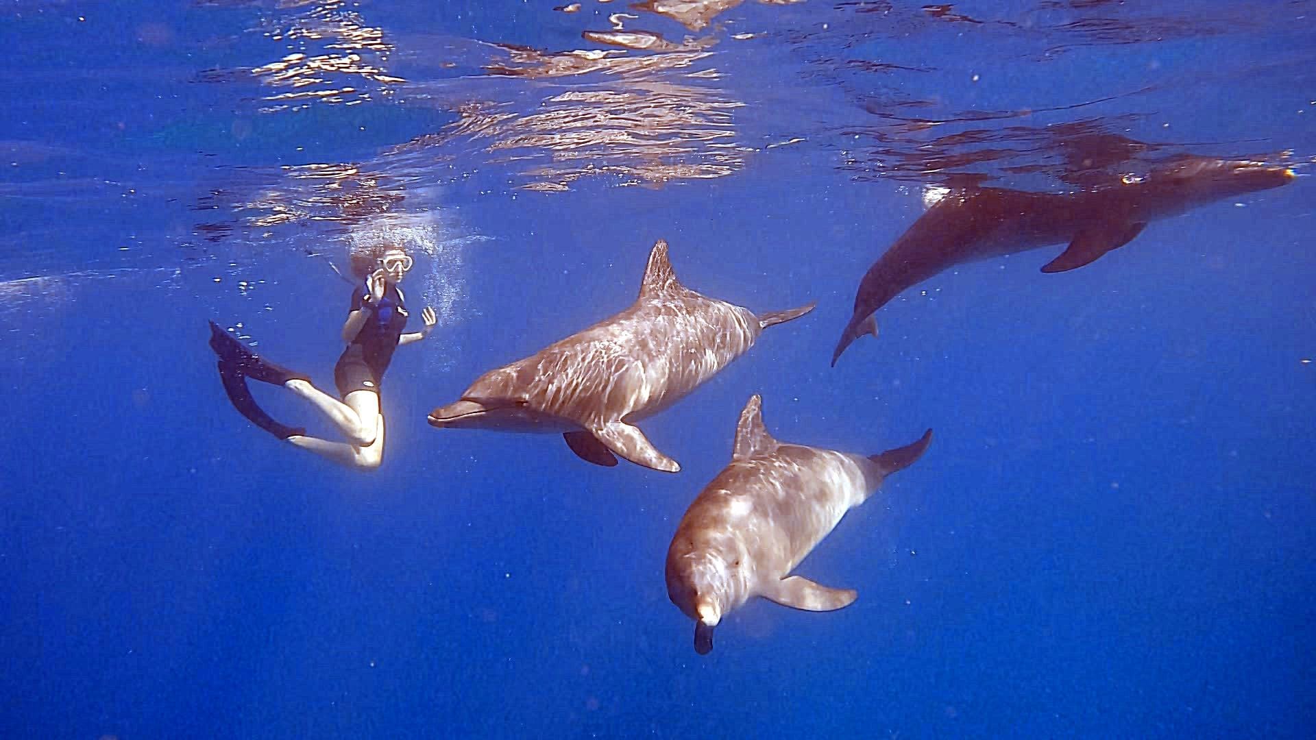 Hurghada: Snorkeling or Try Dive Luxury Yacht Trip - Hurghada Snorkeling Try (Photo 1)