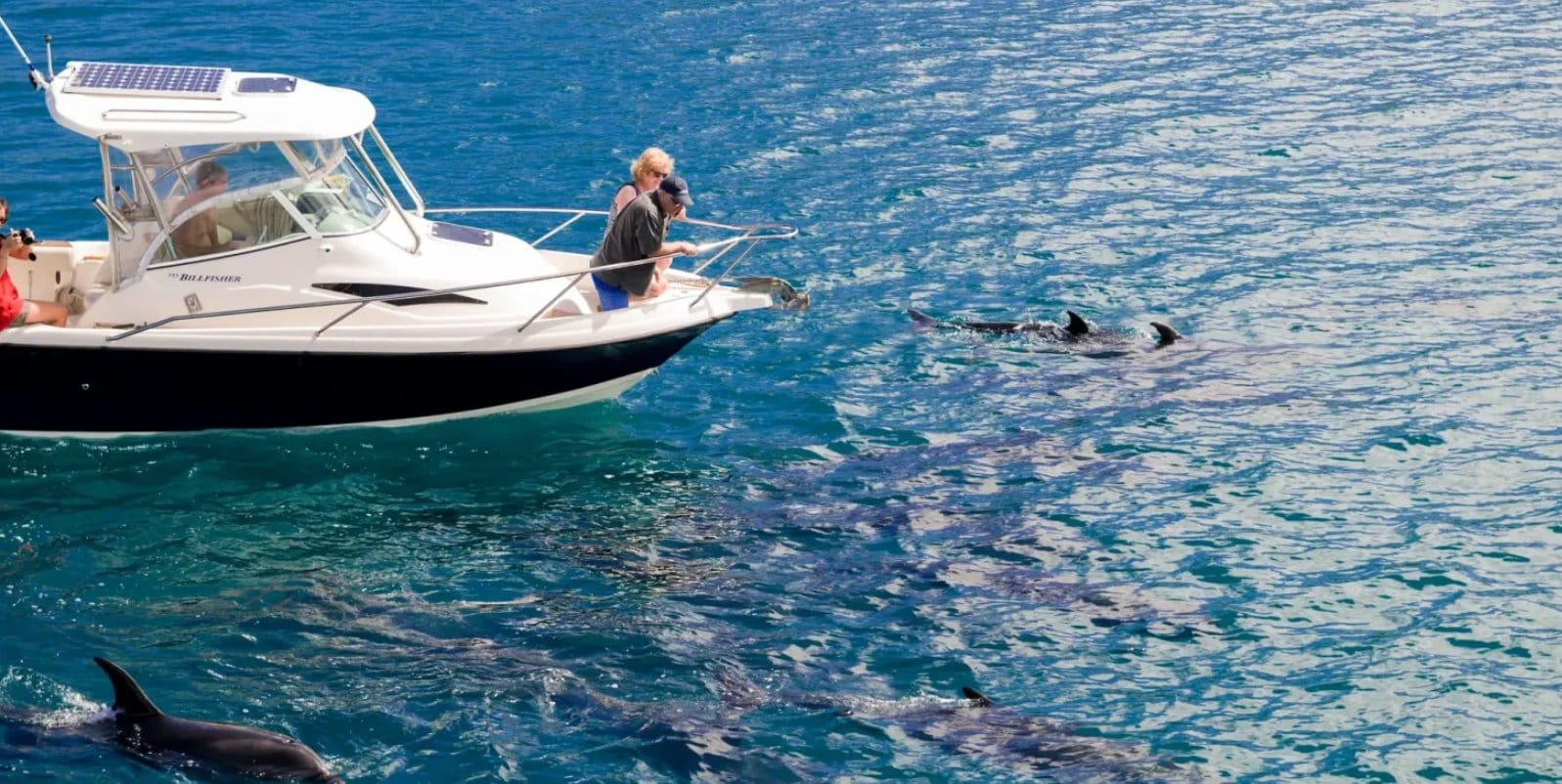 Sharm El-Sheikh: Pvt Speedboat to Tiran Island Snorkel/Dive - Sharm Sheikh Pvt (Photo 1)