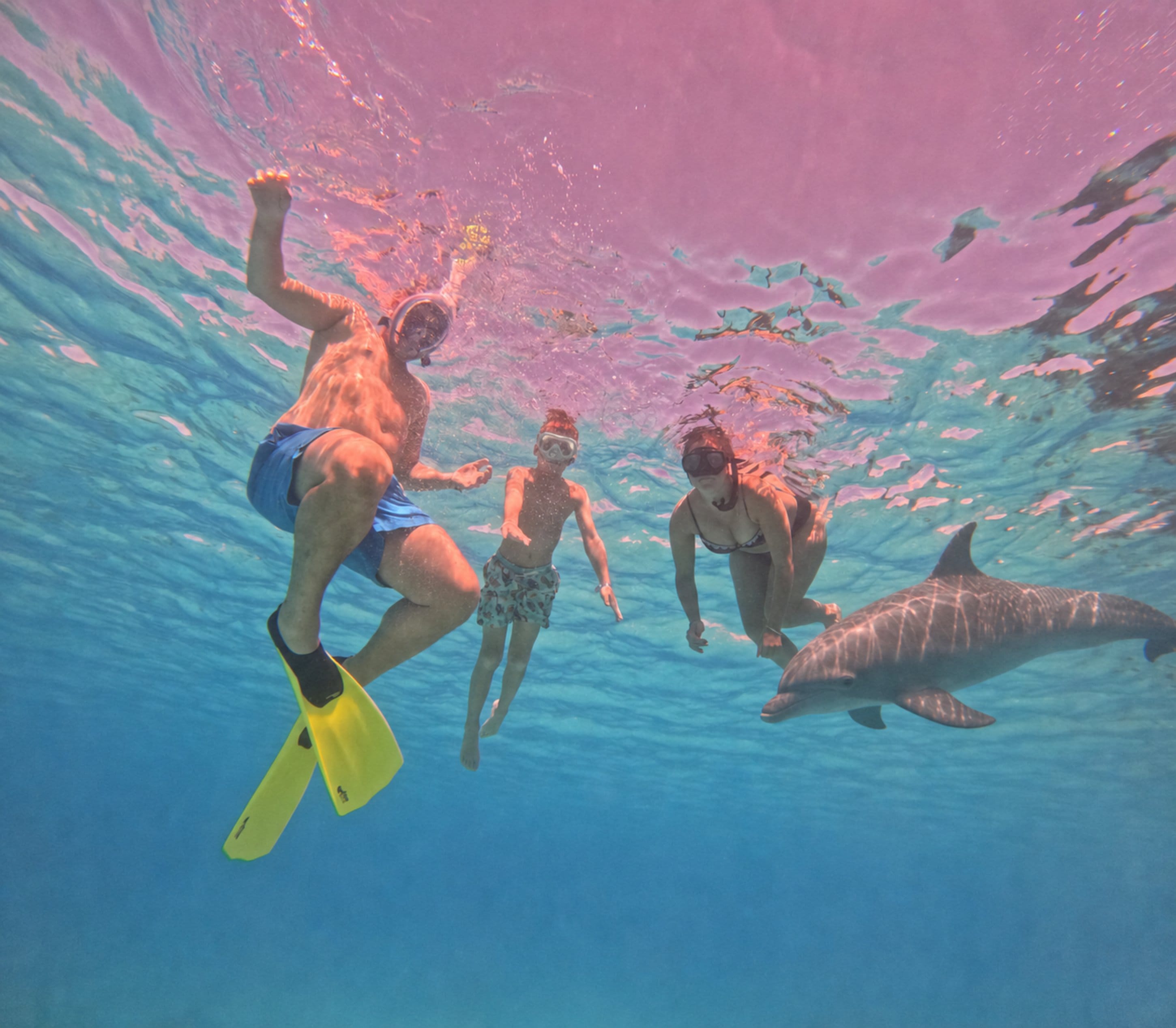 Hurghada: Dolphin House Speedboat Trip & Swim with Dolphins - Hurghada Dolphin House (Photo 1)