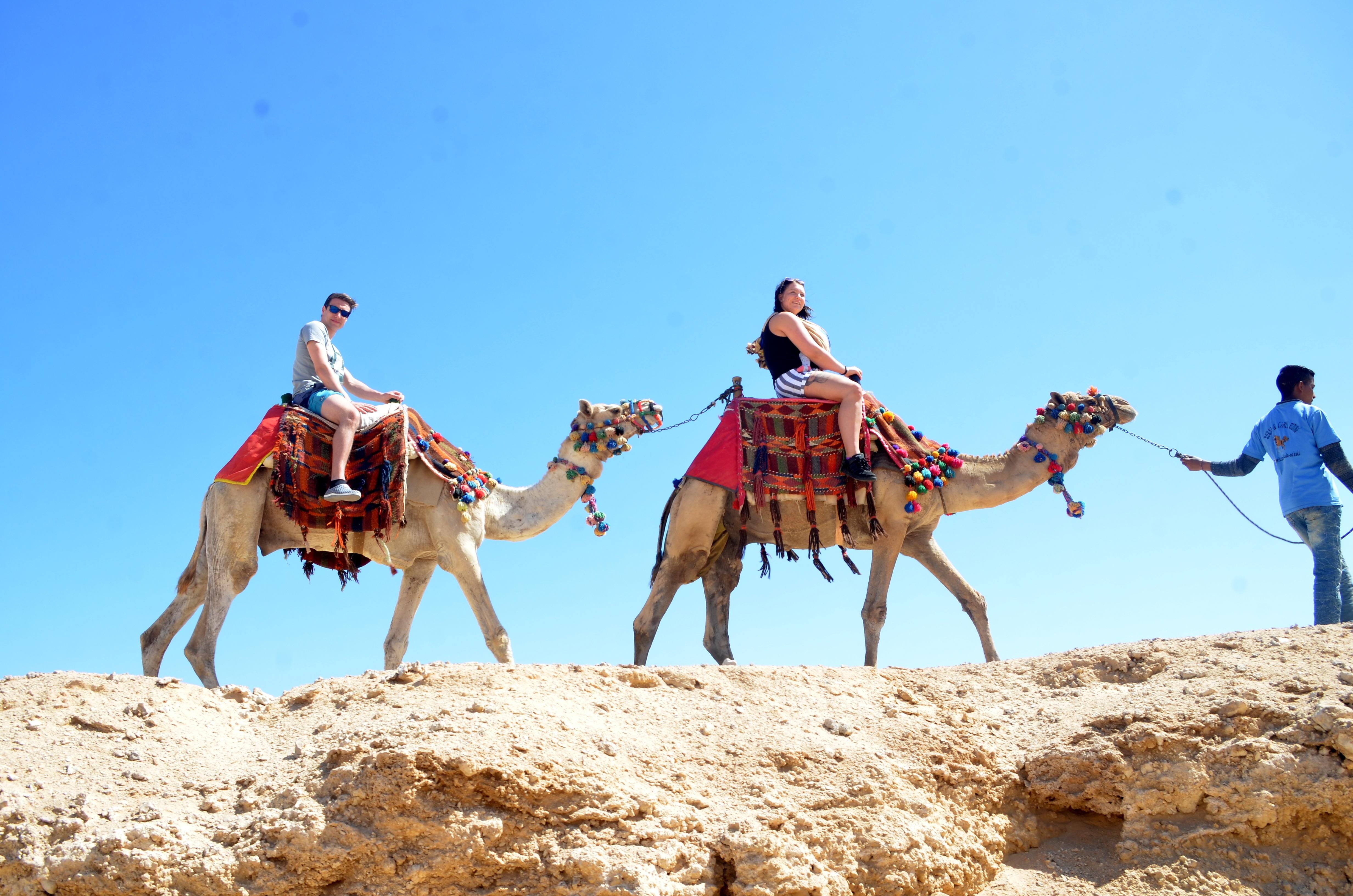 Hurghada: Sea & Desert Camel Ride w/Dinner, Show, Stargazing - Hurghada Sea Desert (Photo 1)