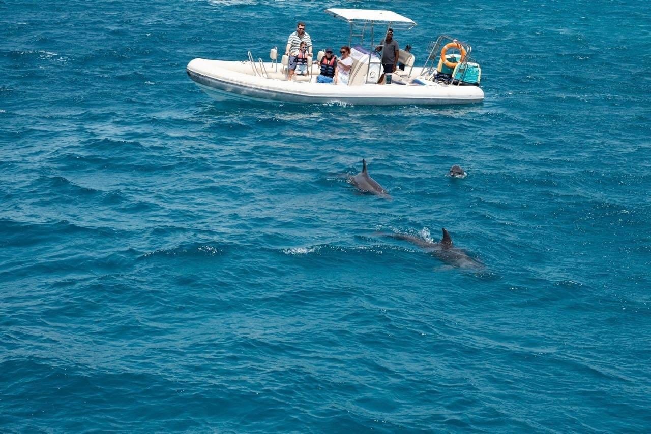 Hurghada: Orange Bay Dolphin Watching, Snorkeling & Fruits - Hurghada Orange Bay (Photo 1)
