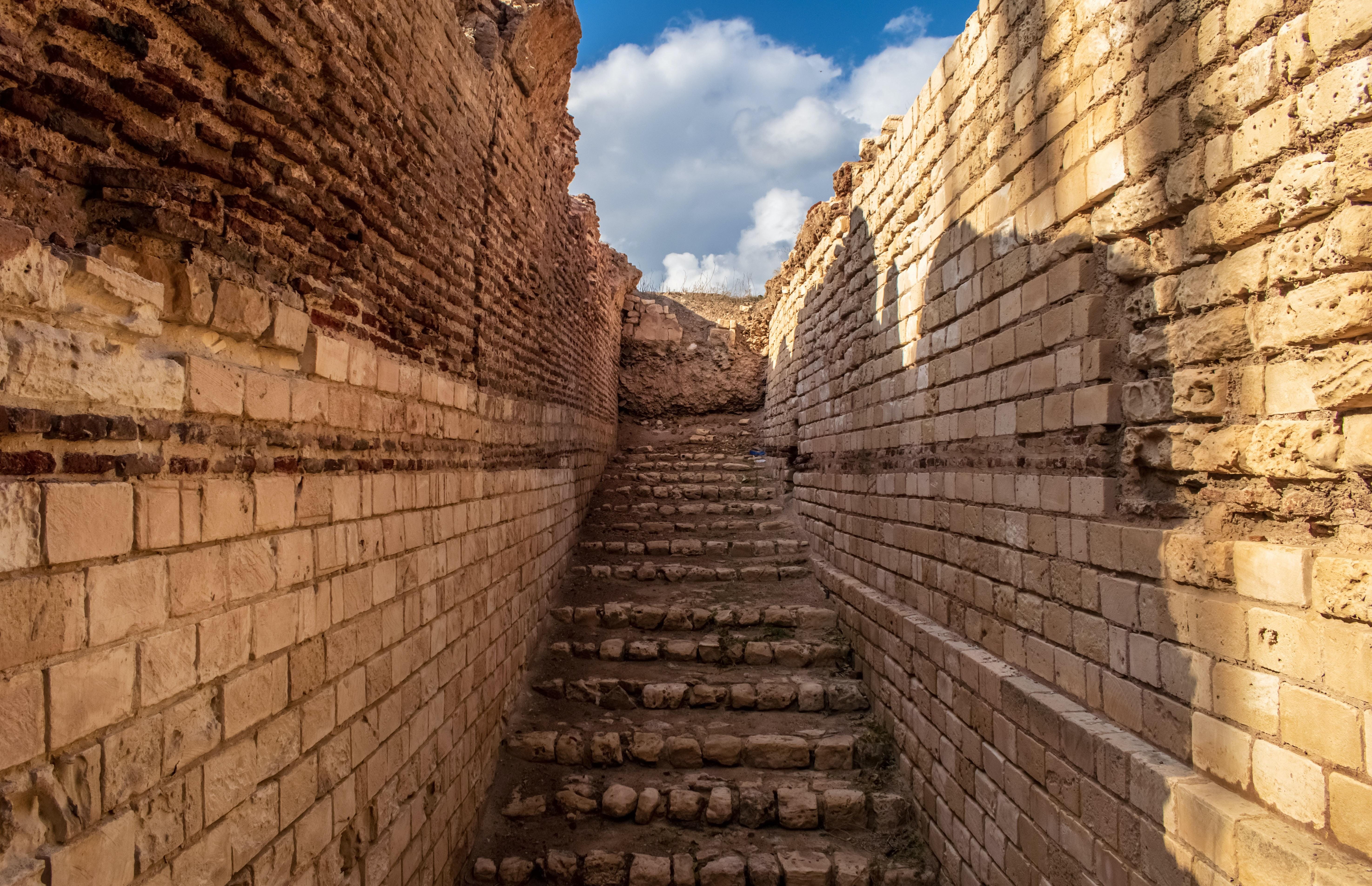 From Alexandria: Highlights of Alexandria Full City Tour - Alexandria Highlights City