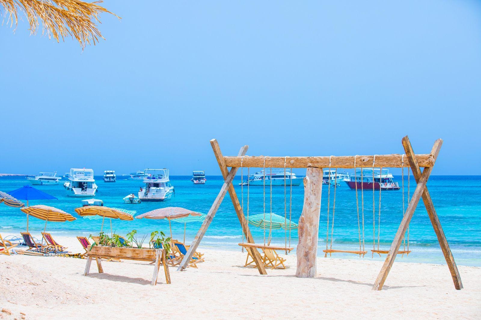 Hurghada: White Island Speedboat, Snorkeling & Fruits - Hurghada White Island (Photo 1)