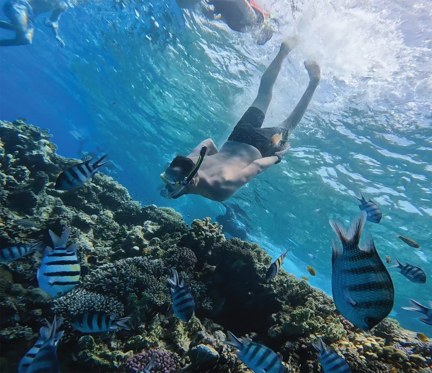 Premium Cruise To Giftun Island with Lunch & Transfer - Hurghada Premium Cruise (Photo 1)